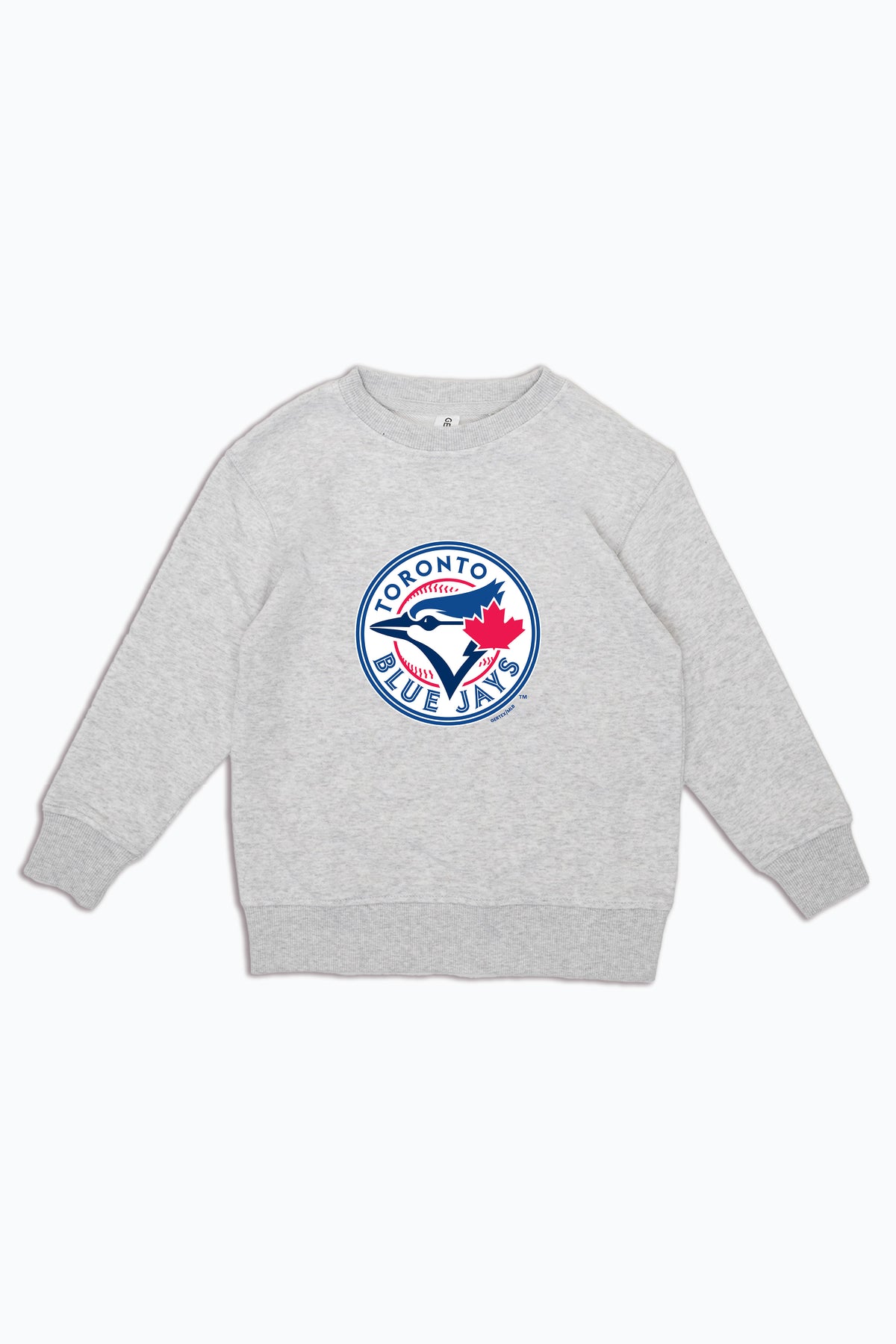 MLB Toronto Blue Jays Logo Crewneck Heather Grey Sweatshirt for Kids, Youth Pullover | Licensed Fan Apparel for Junior Boys, Girls