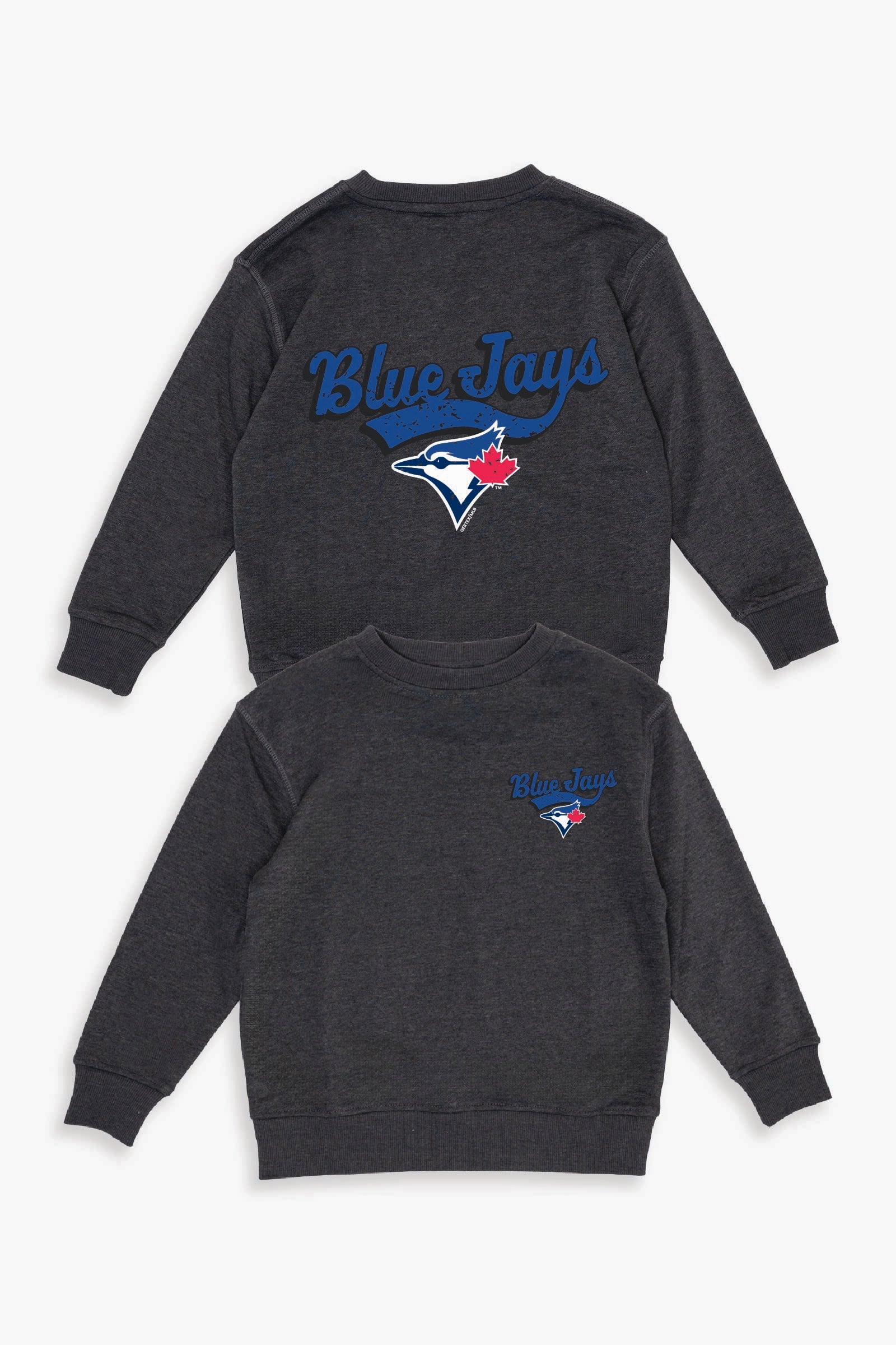 MLB Toronto Blue Jays Youth Crewneck Sweatshirt in Dark Grey (Kids) with Distressed Varsity Back Print & Front Crest