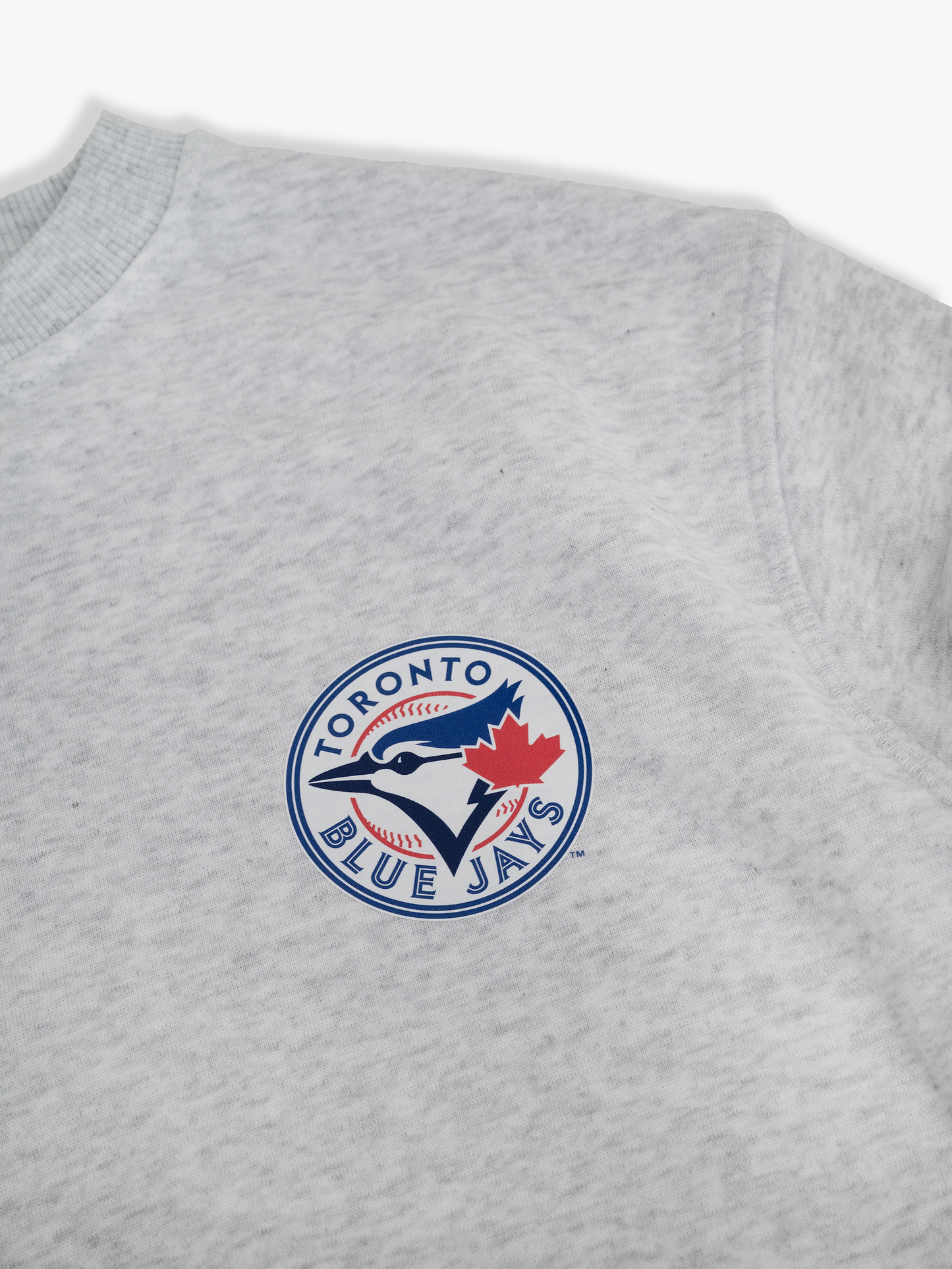 Toronto Blue Jays Kids Crewneck Sweatshirt Family Programme Pullover, Heather Grey French Terry, Youth