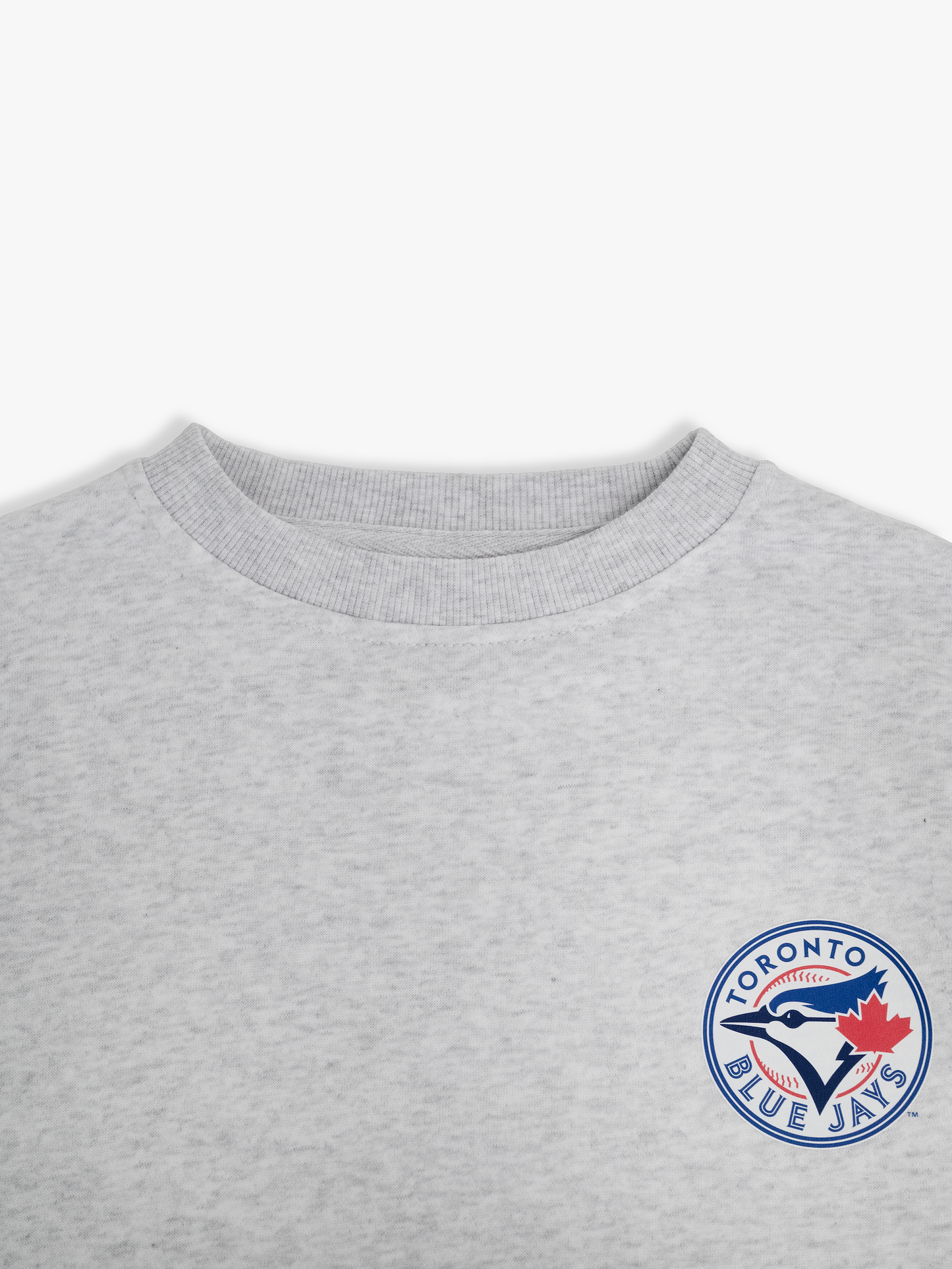 Toronto Blue Jays Kids Crewneck Sweatshirt Family Programme Pullover, Heather Grey French Terry, Youth